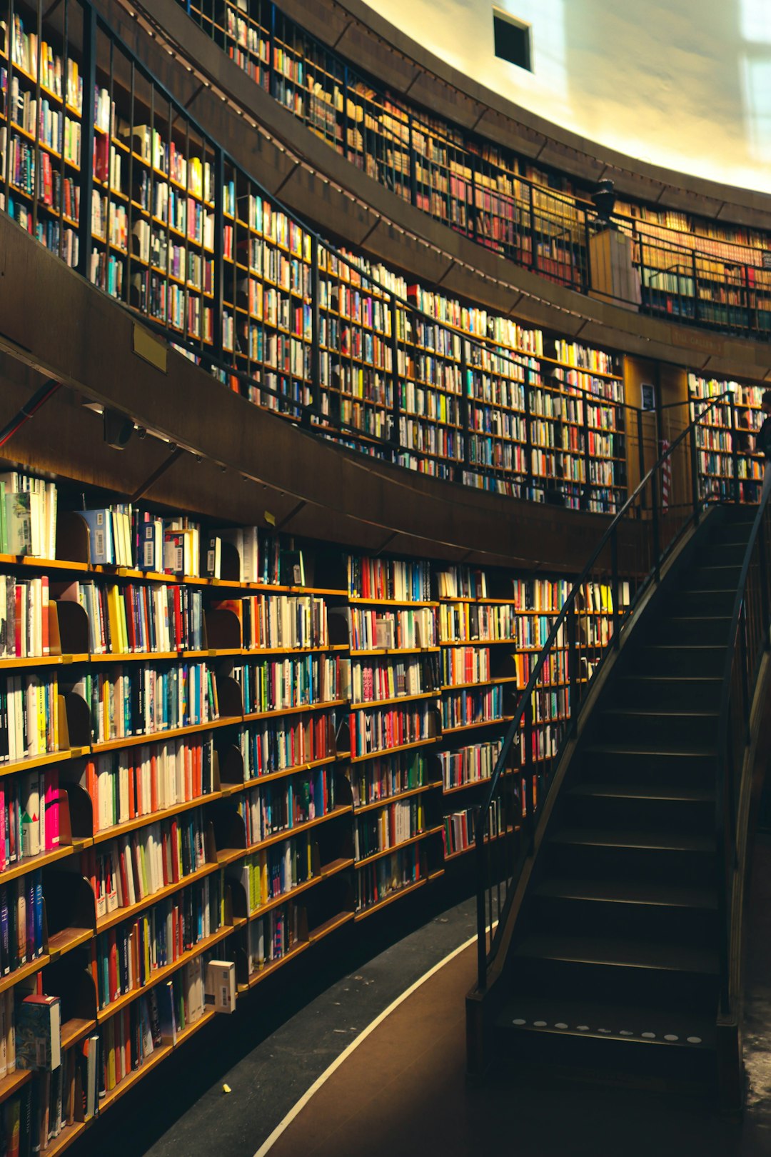 a-library-with-many-books-paay4tudsqi