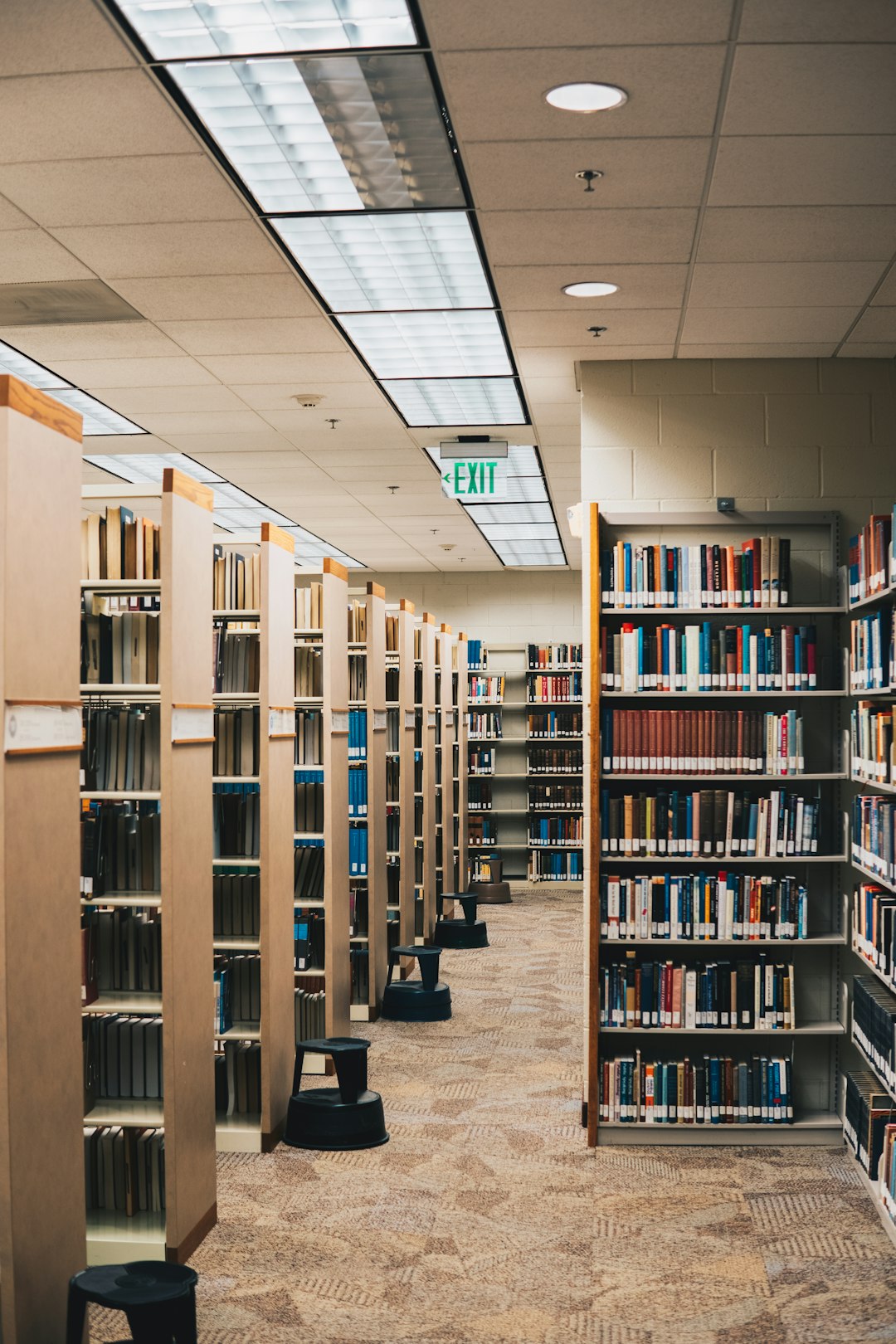 a-row-of-bookshelves-filled-with-books-in-a-library-elwb8k1mo7c